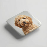 Photo Magnets - DTF Virginia - 