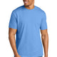 Carolina Blue Mist