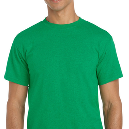 100% Cotton Heavyweight Short Sleeve T-Shirt