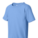 CAROLINA BLUE