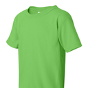  LIME