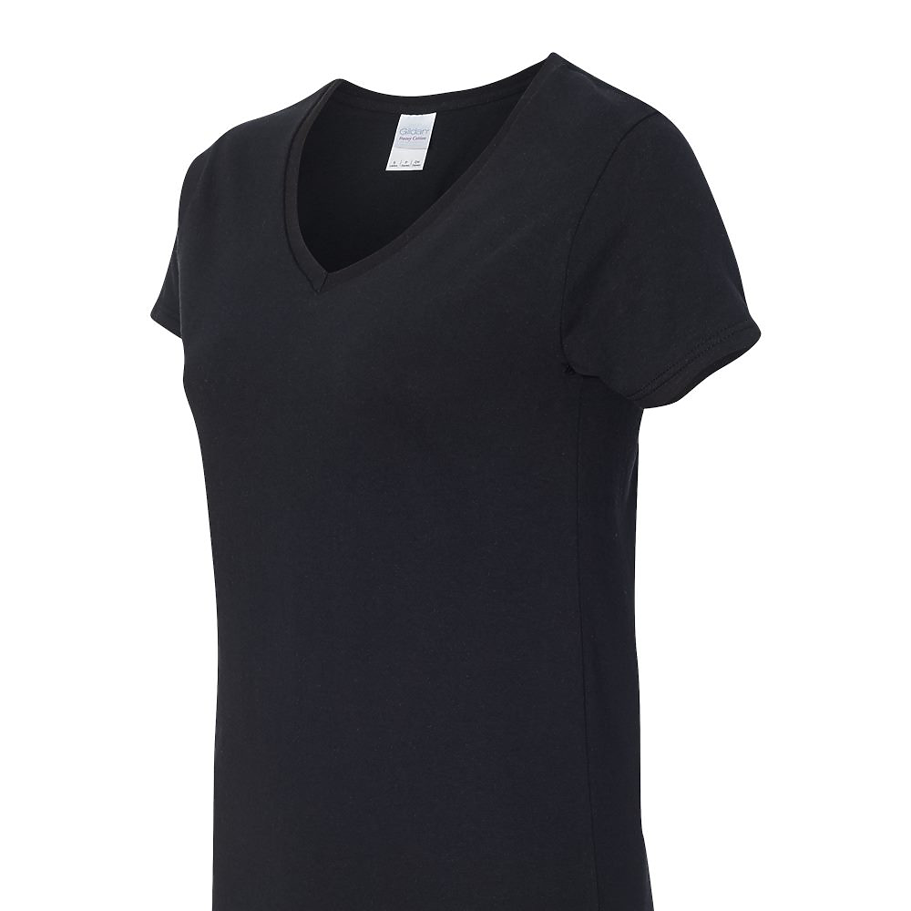 100% Heavyweight V-Neck T-Shirt