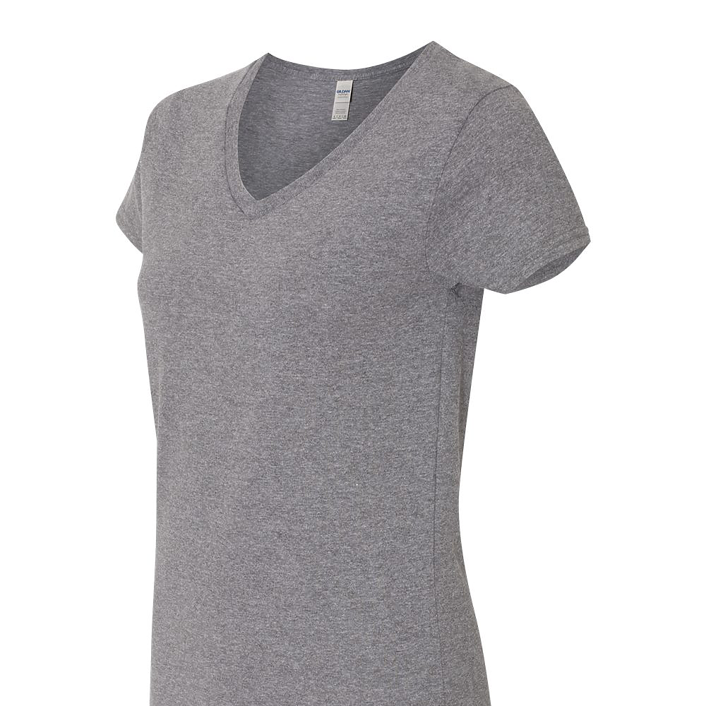 100% Heavyweight V-Neck T-Shirt