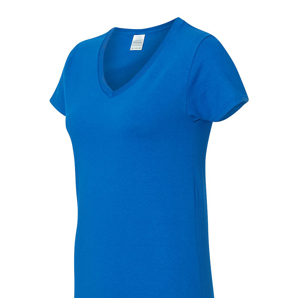 100% Heavyweight V-Neck T-Shirt