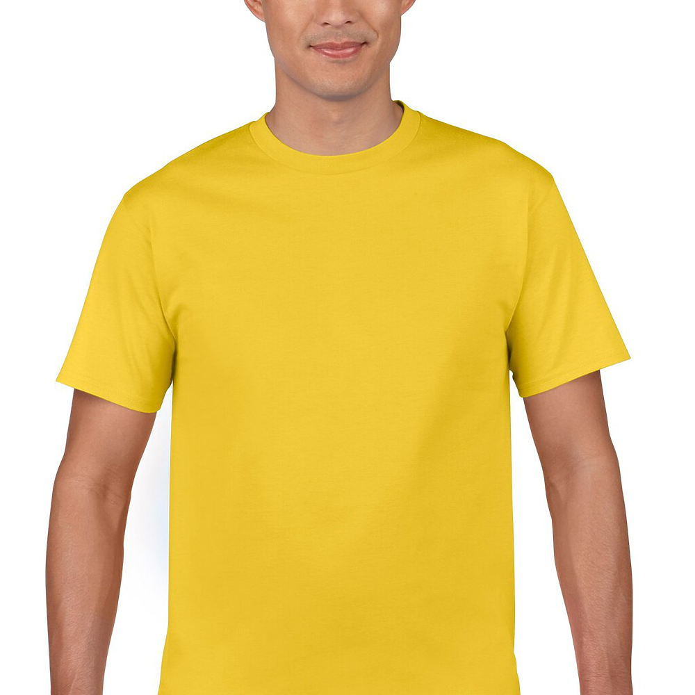 Adult Softstyle Short Sleeve T-Shirt