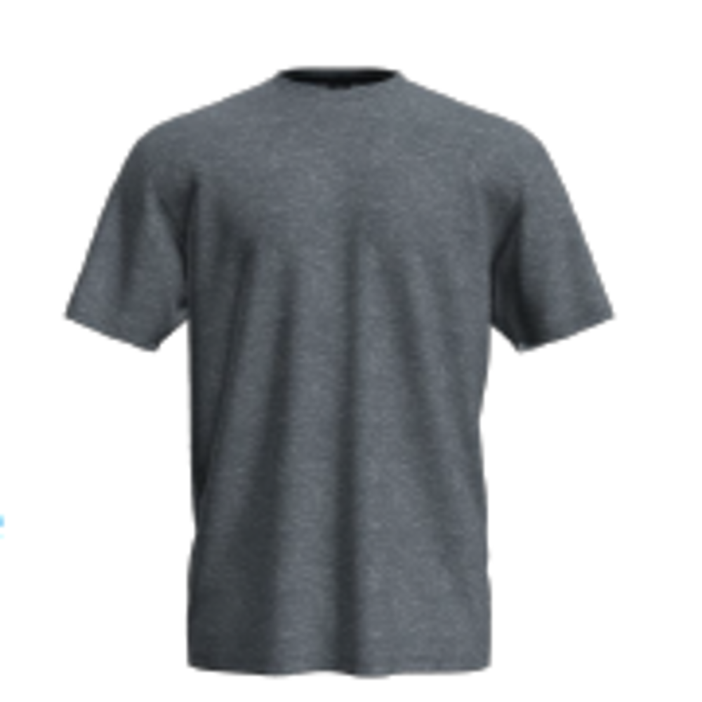 Adult Softstyle Short Sleeve T-Shirt