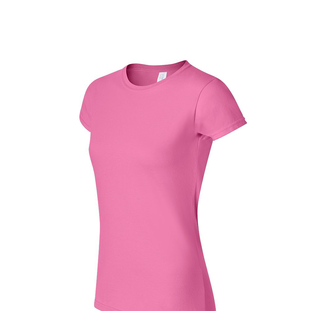 Softstyle V-Neck T-Shirt
