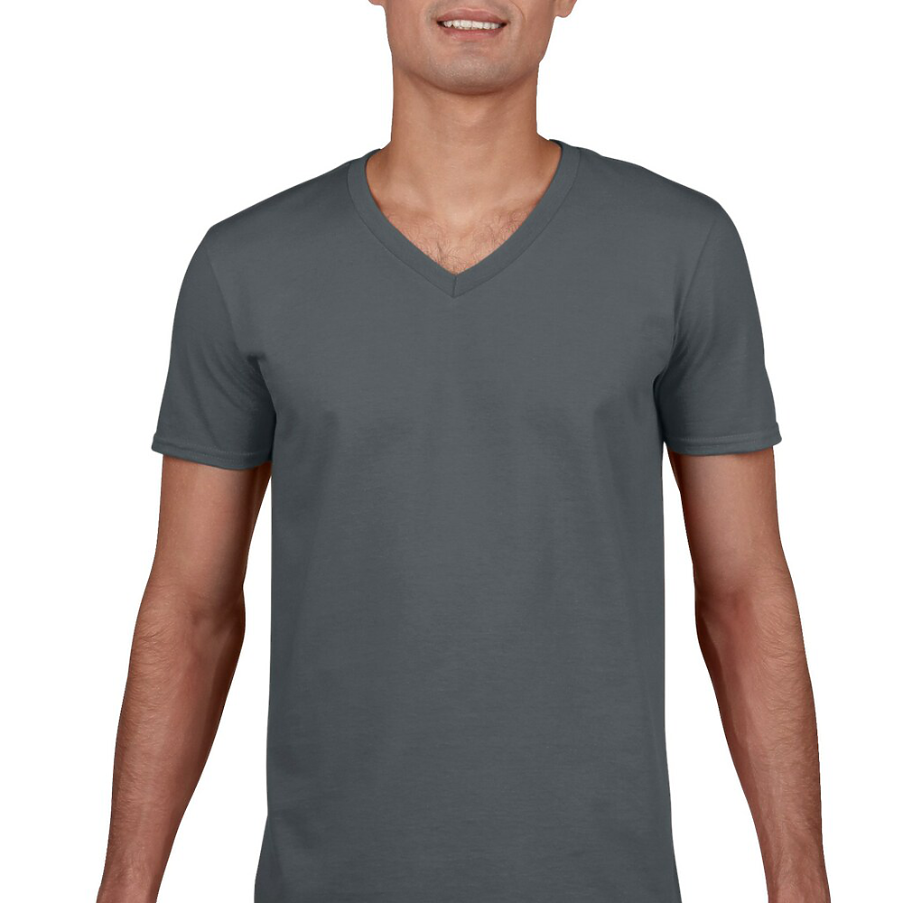 Softstyle V-Neck T-Shirt