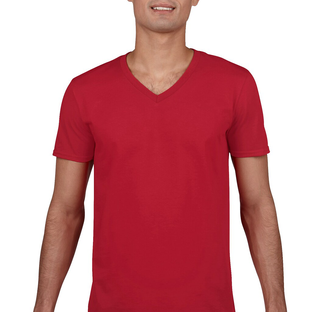 Softstyle V-Neck T-Shirt