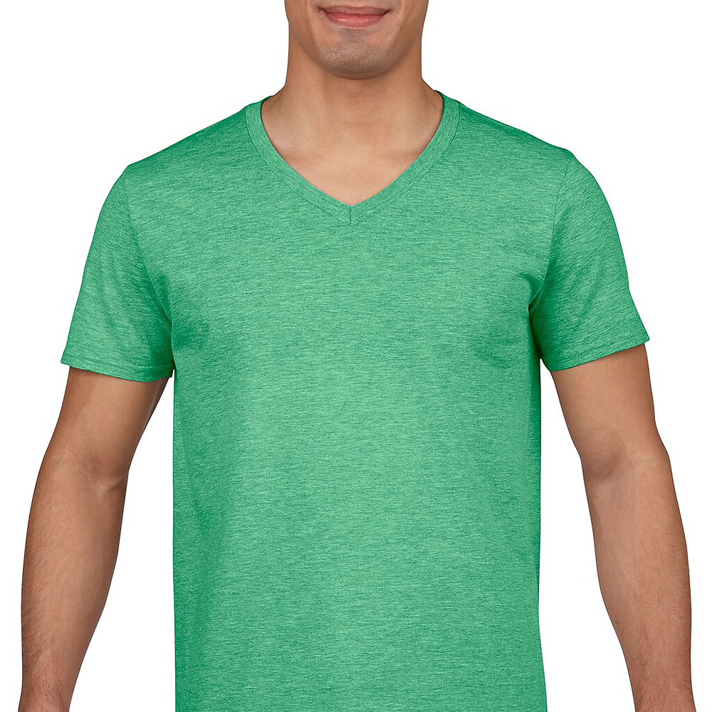 Softstyle V-Neck T-Shirt