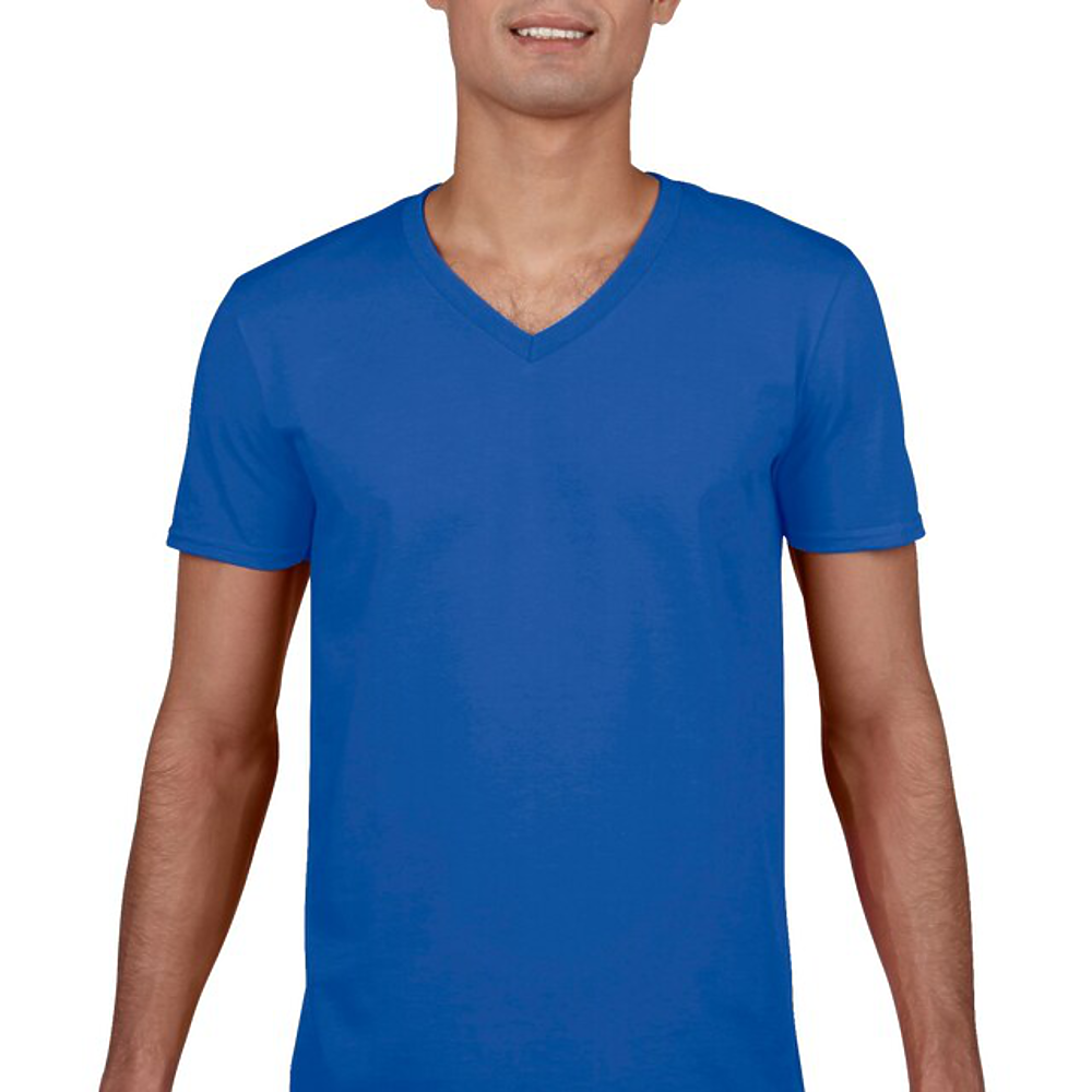Softstyle V-Neck T-Shirt