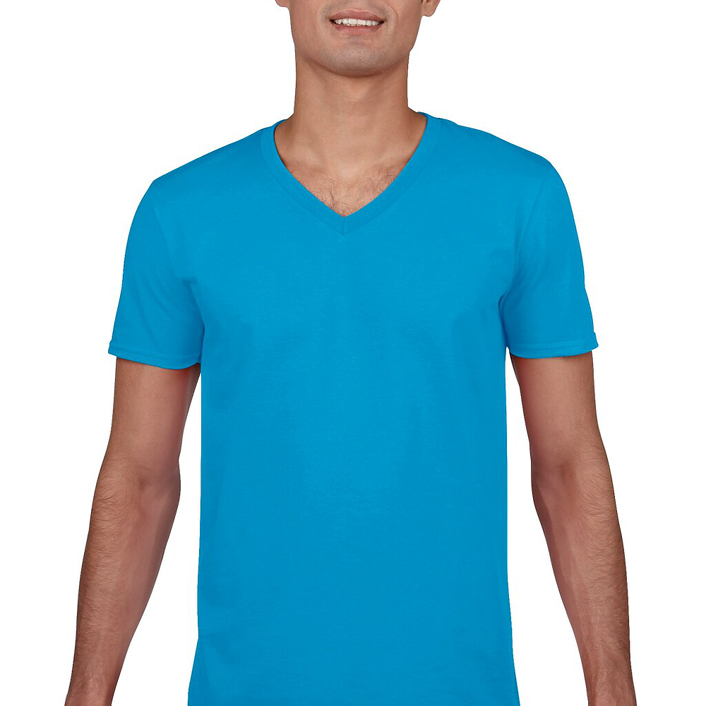 Softstyle V-Neck T-Shirt