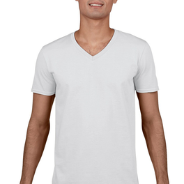 Softstyle V-Neck T-Shirt