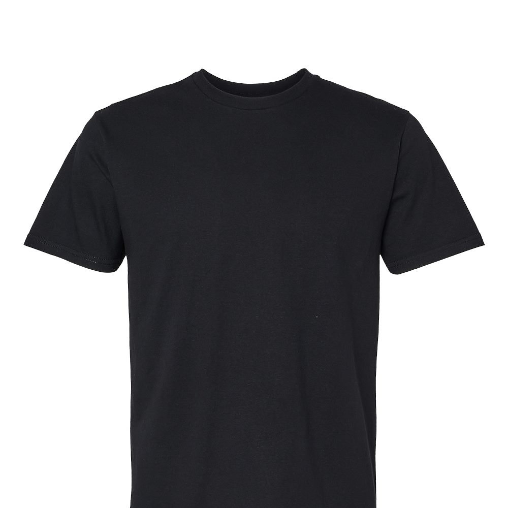 Softstyle Midweight T-Shirt