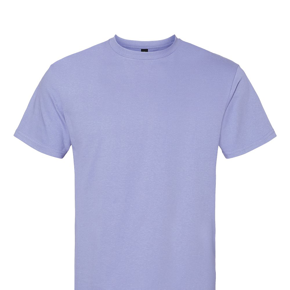 Softstyle Midweight T-Shirt