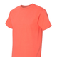 BRIGHT SALMON