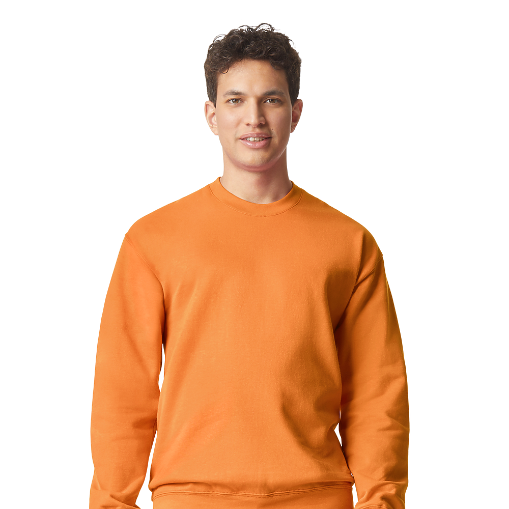 Softstyle Crewneck T-Shirt