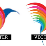 Raster vs Vector