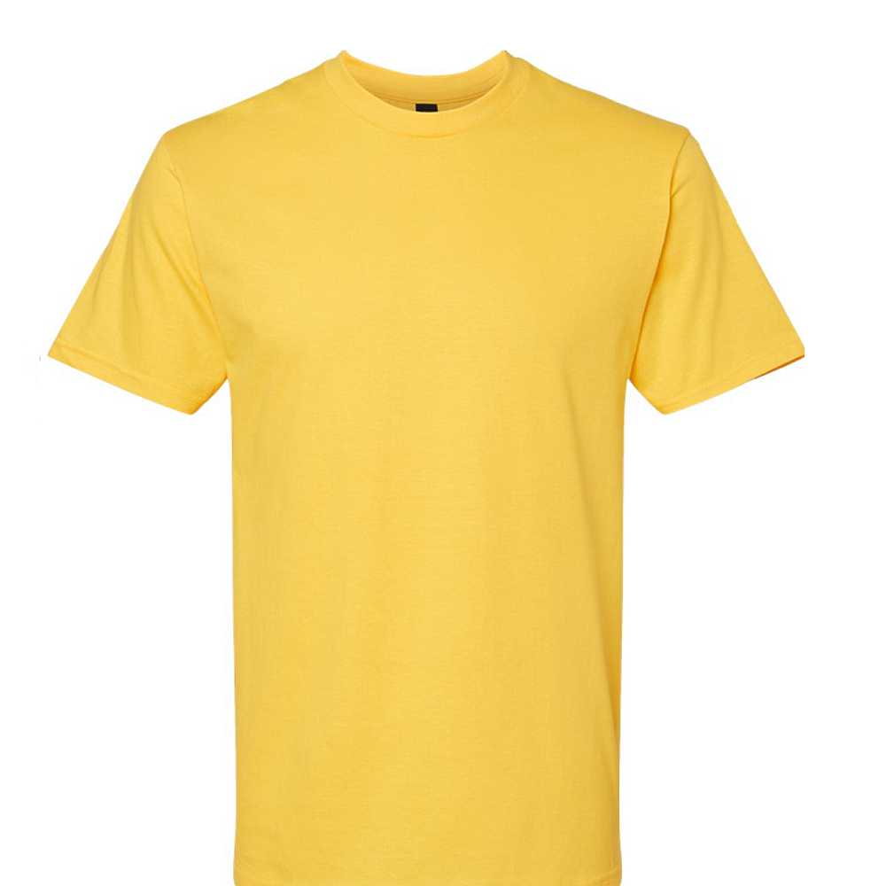 Softstyle Midweight T-Shirt