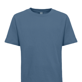 Next Level Youth Cotton T-Shirt - DTF Virginia - T-Shirts